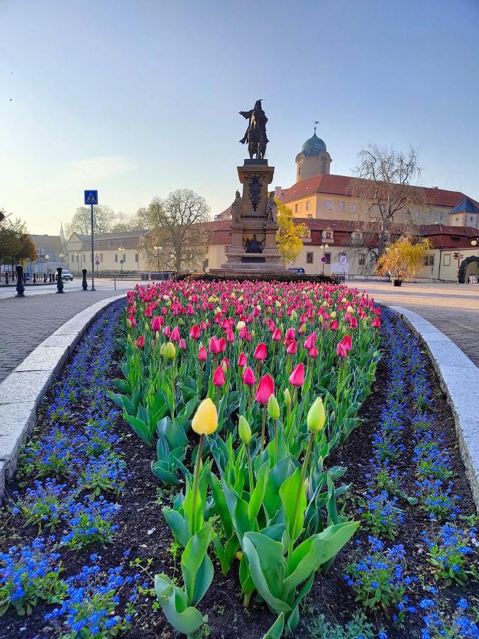 Homestay Podebrady Poděbrady Exterior foto