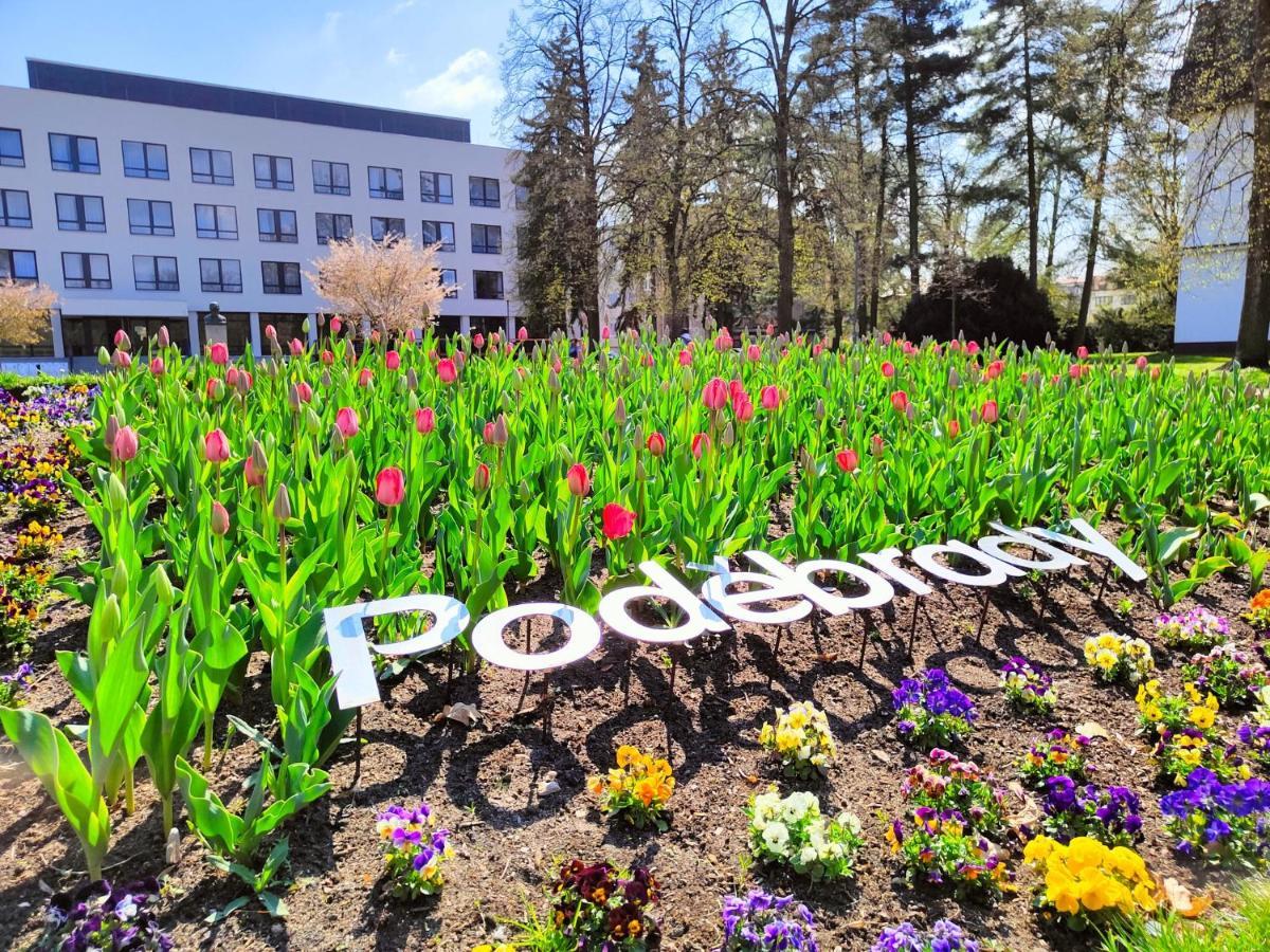 Homestay Podebrady Poděbrady Exterior foto