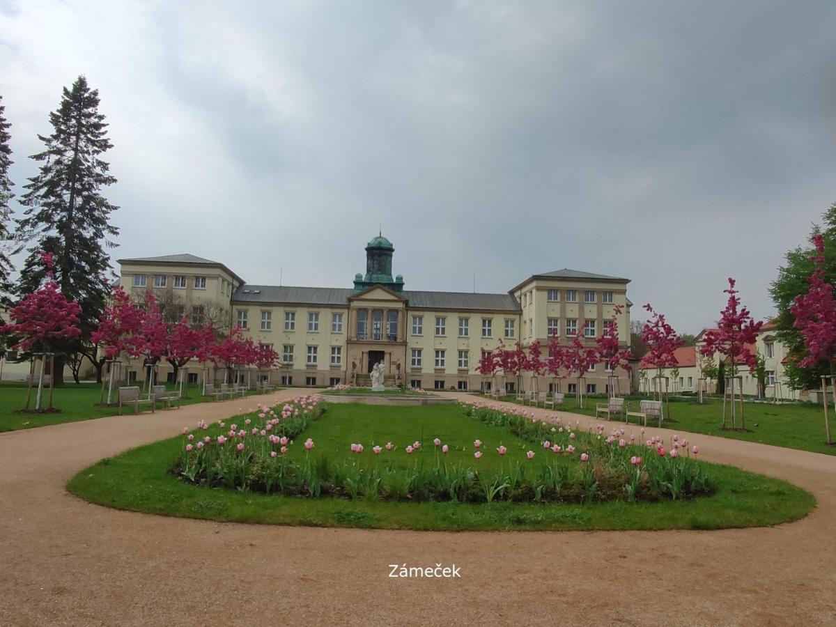 Homestay Podebrady Poděbrady Exterior foto