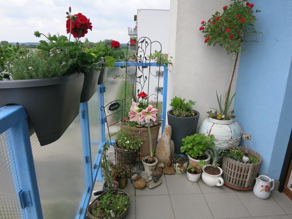 Homestay Podebrady Poděbrady Exterior foto